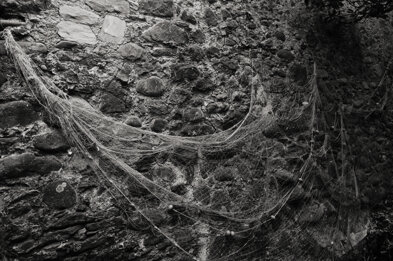 fuji9609.jpeg fuji9609.jpeg