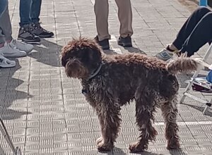 img_20260315_100210421.jpeg img_20260315_100210421.jpeg