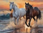 cavalli-al-galoppo-in-riva-al-mare