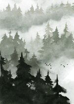forest