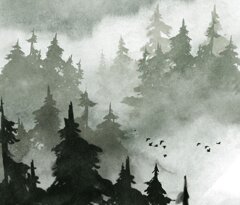 anzianaaggio%20(1).jpeg anzianaaggio%20(1).jpeg