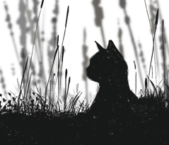 anzianaaggio.jpeg anzianaaggio.jpeg