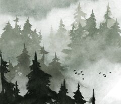 img_1456.jpeg img_1456.jpeg