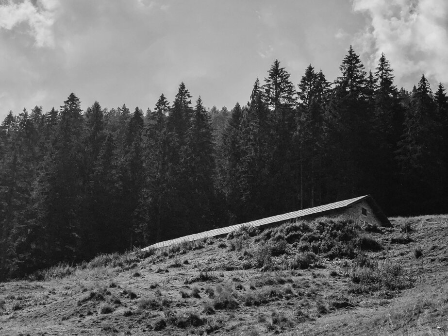 2165ab5292145a58cb7d8343884dc506a8efb9b2.jpeg