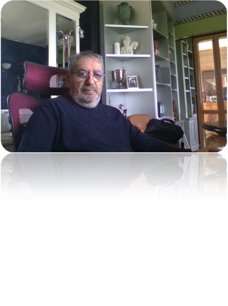 immagine2