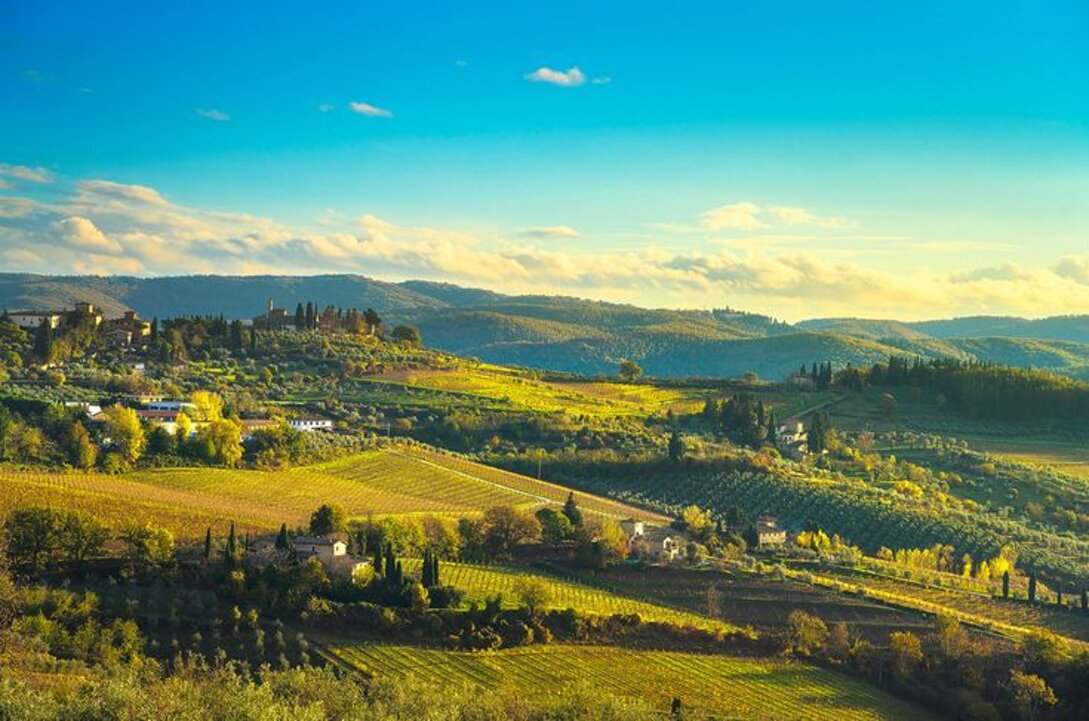 panzano in chianti vineyards panoramic view _ stefano orazzini.jpeg