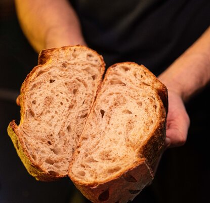 dsc03850.jpeg dsc03850.jpeg