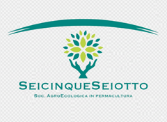 logo 6568 con sfondo trasparente logo 6568 con sfondo trasparente