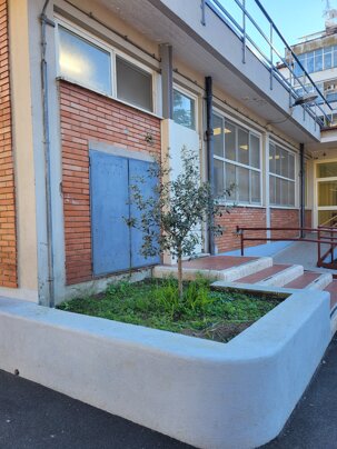 20231219_120349.jpeg 20231219_120349.jpeg