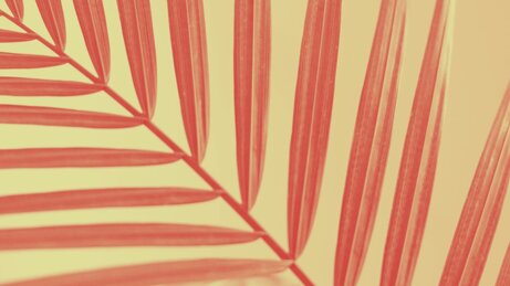 70f4b68d5f4ad26cee2c08f37ca91784c3acde6c