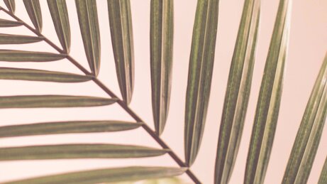 c0d53fd4c40cca30f04e783addb647cc680dab40