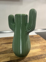 cacto