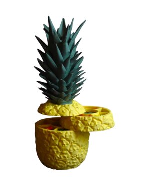 ananas-contenitore