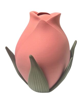 whatsapp image 2026-02-21 at 19.59.25.jpeg