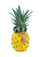 pineapple-party-set