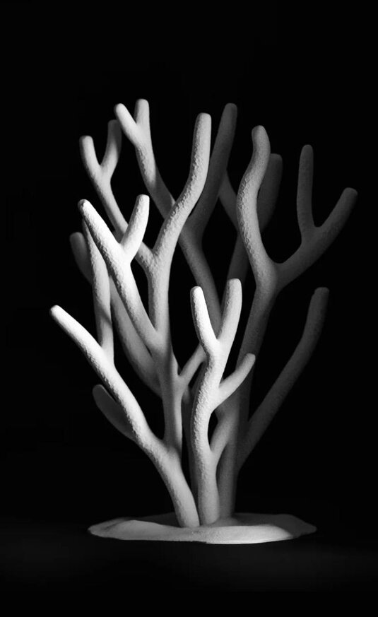 whatsapp image 2026-02-20 at 20.00.56 (1).jpeg