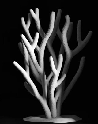 whatsapp image 2026-02-21 at 19.59.25.jpeg