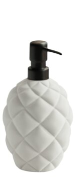 soap-dispenser-inflated-n4