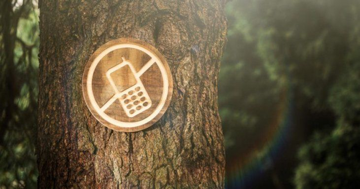 Cos’è il Digital Detox?
