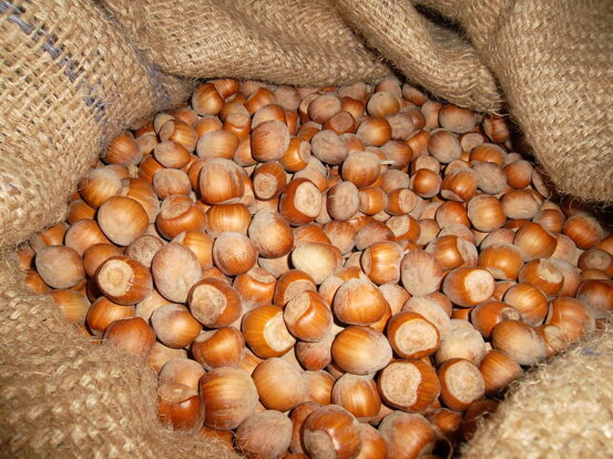 83362319331a3d912e94295109008bca9480e89b 83362319331a3d912e94295109008bca9480e89b