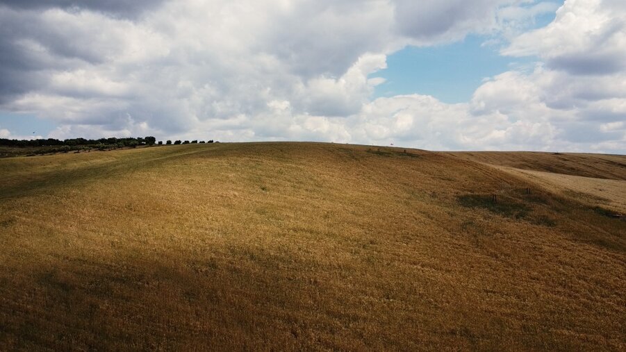 contatti_1.1.6.jpeg contatti_1.1.6.jpeg