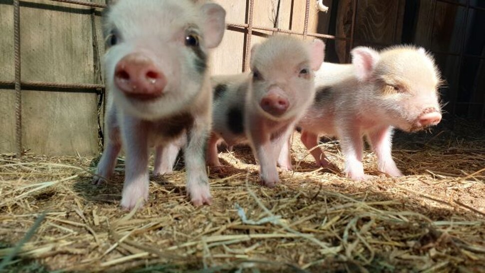 2022-07-10 08.36.17.jpeg