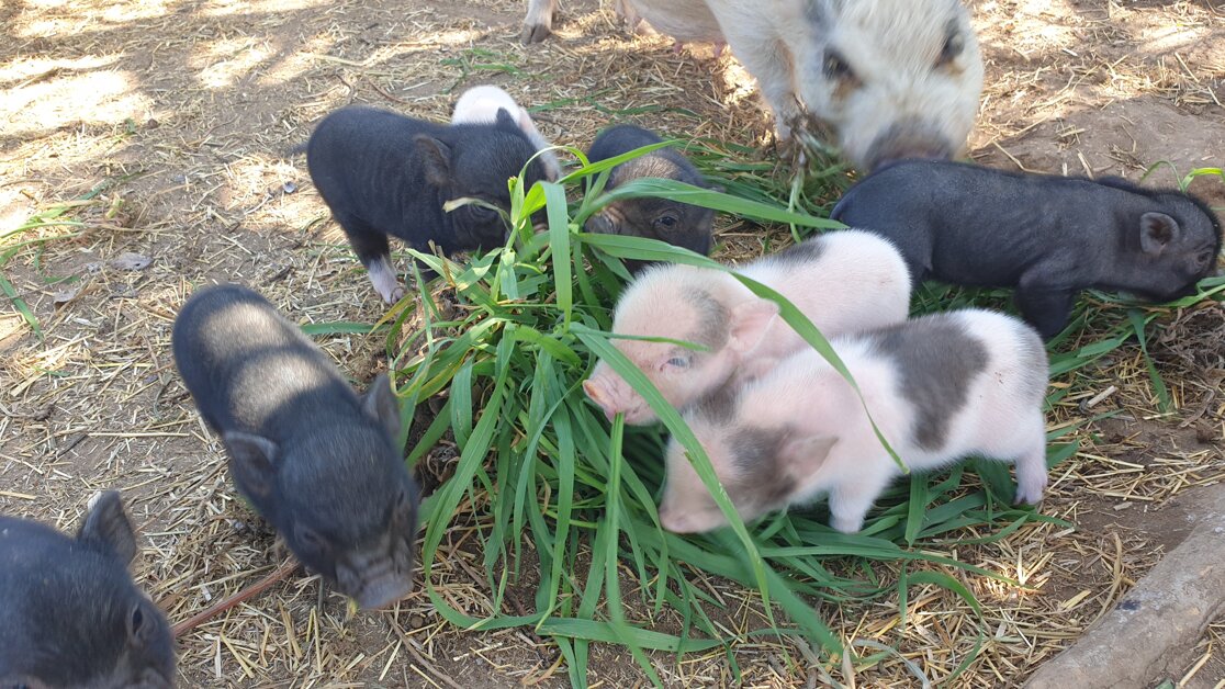 2022-03-23 12.17.58.jpeg