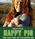 happy-pig