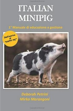 whatsapp image 2020-11-24 at 20.11.15 italian.jpeg