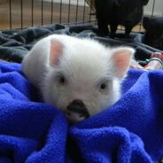 2016-12-29 19.49.47.jpeg