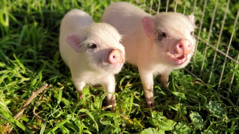 2021-01-26 09.20.40.jpeg