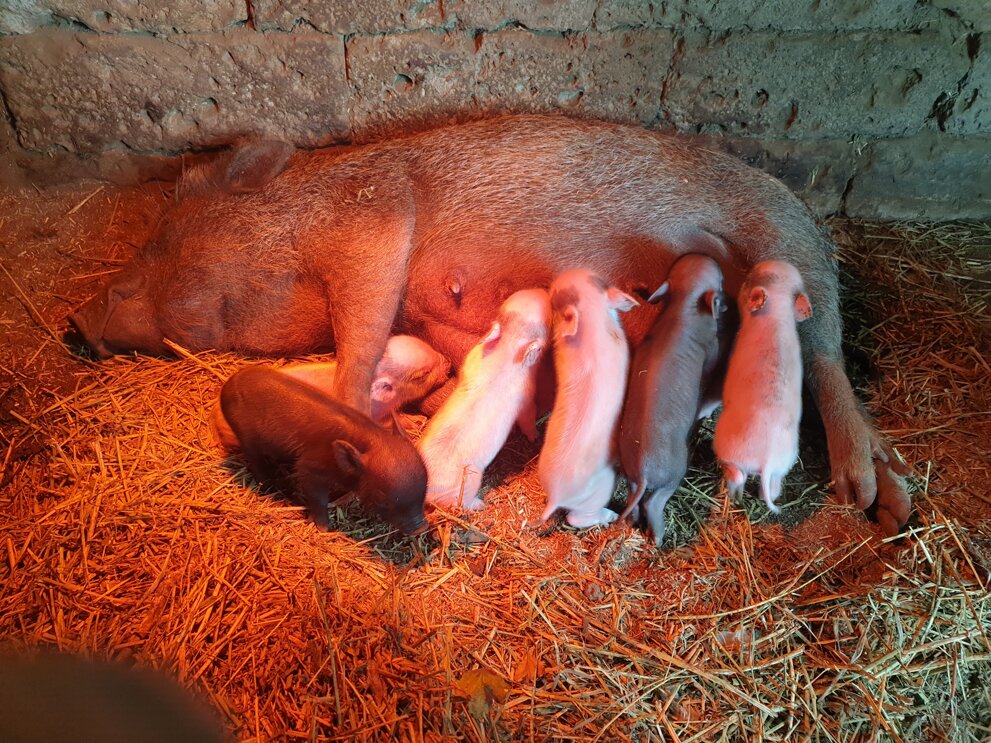 2020-10-27 12.10.27.jpeg