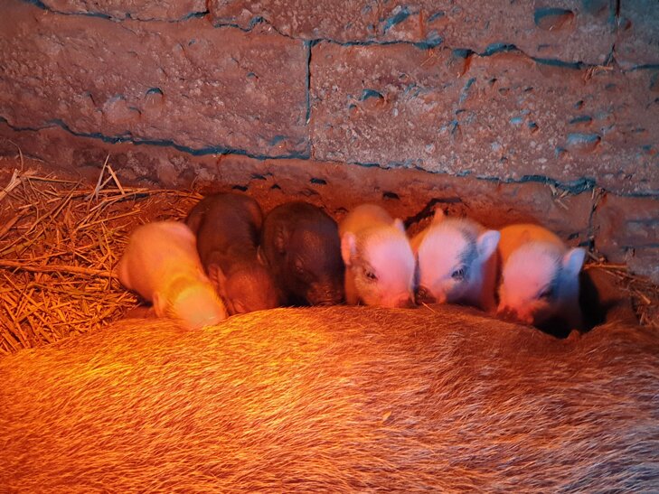 2020-10-27 16.27.17.jpeg