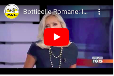 schermata 2025-07-15 alle 17.53.30