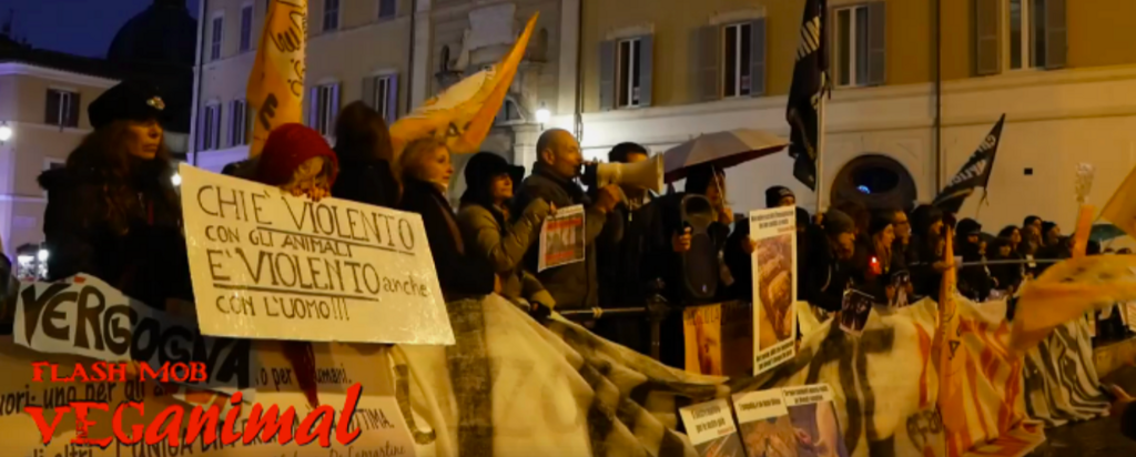 Azione di disobbedienza civile e protesta politica animalista