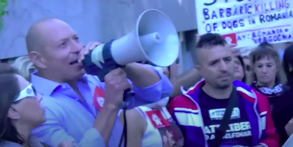 Azione di disobbedienza civile e protesta politica animalista