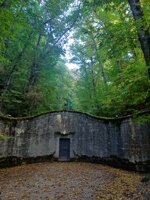 02112025-foliage-amiata