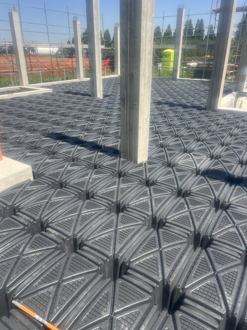 img_6101.jpeg img_6101.jpeg