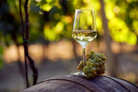 calice-vino-bianco-grappolo-uva.jpeg