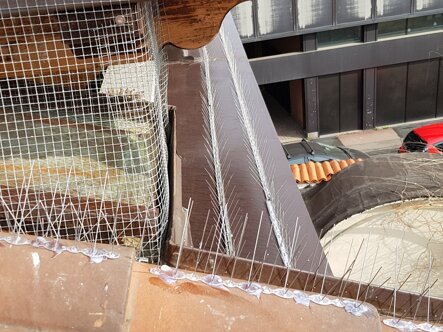 antipicioni sito.jpeg