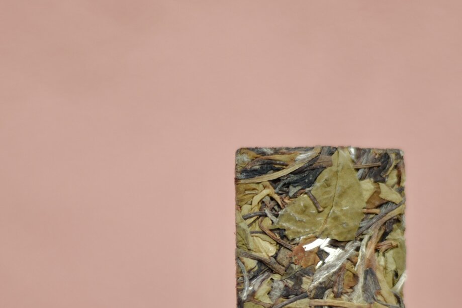 _dsc6575 2.jpeg