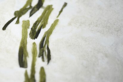 _dsc6623.jpeg