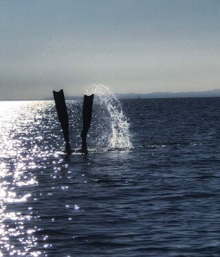 5866_9effddb7813d1a396d249c1c830ef96372cdf861