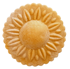 girasole 2 girasole 2