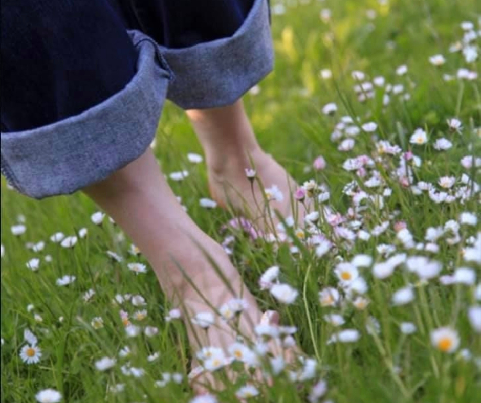 Piedi nudi nell’erba con margherite simbolo di rilassamento e regolazione del sistema nervoso in stile hygge