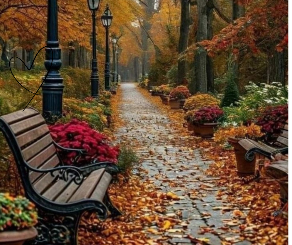 Hygge e vita all’aperto: la natura come alleata del benessere Sentiero autunnale tra alberi colorati, panchine vuote e foglie a terra, atmosfera calma e accogliente in stile hygge per ritrovare presenza interiore