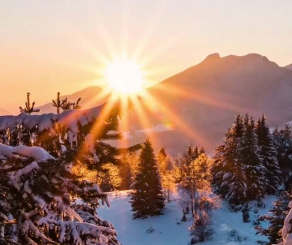 Luce invernale che filtra tra gli alberi, simbolo di un nuovo inizio gentile e del ritornare ad ascoltare il desiderio