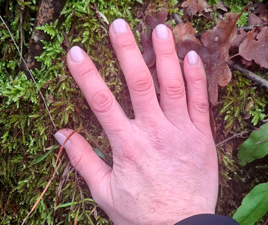 Mano appoggiata sul muschio nel bosco come simbolo di ascolto interiore e chiarezza su ciò che non si vuole più