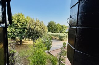 img_6848.jpeg