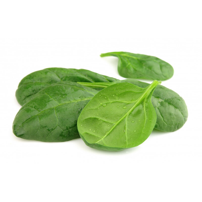 spinacino